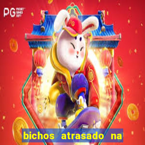 bichos atrasado na loteria dos sonhos